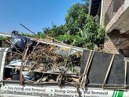 Best Estate Cleanout  in Stanley, VA